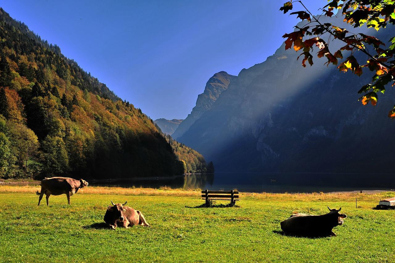 Hotel Freihof Glarus Zewnętrze zdjęcie